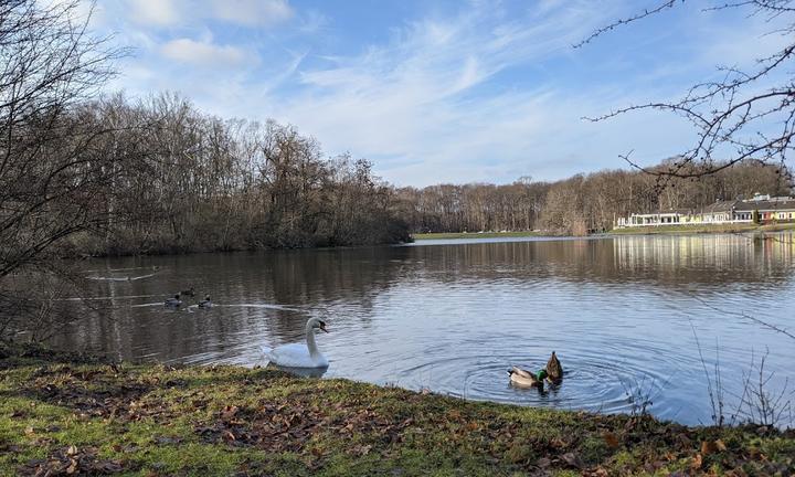 Haus am See